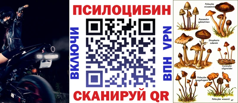 Псилоцибиновые грибы MAGIC MUSHROOMS  как найти закладки  mega tor  Куса 