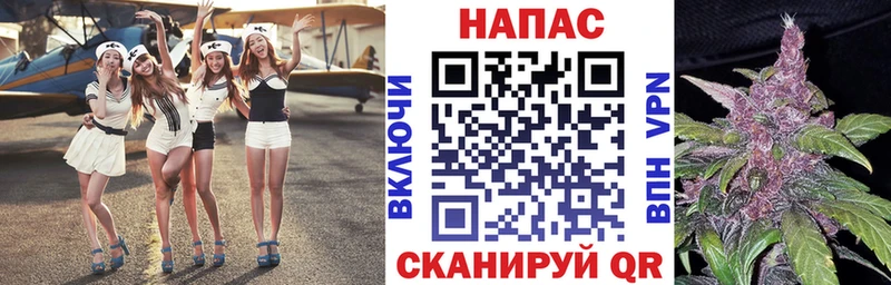 Конопля White Widow  маркетплейс телеграм  Куса 